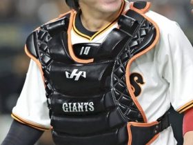 甲斐捕手